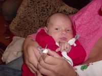 /album/fotogalerie/hpim3052-jpg/